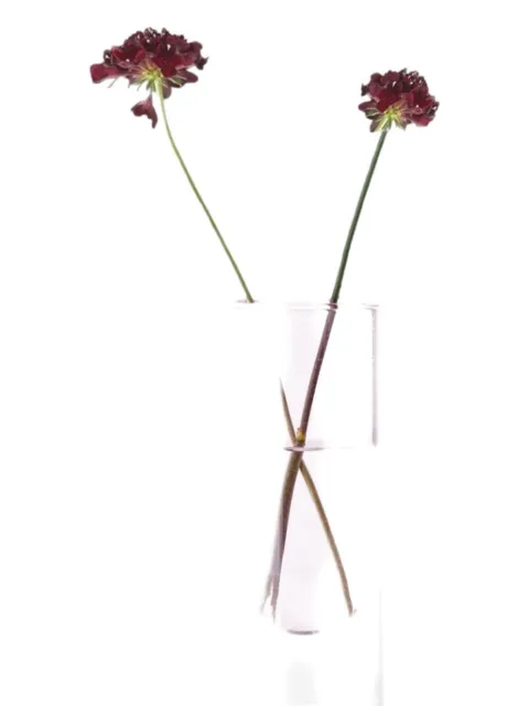 Studio About glass vase