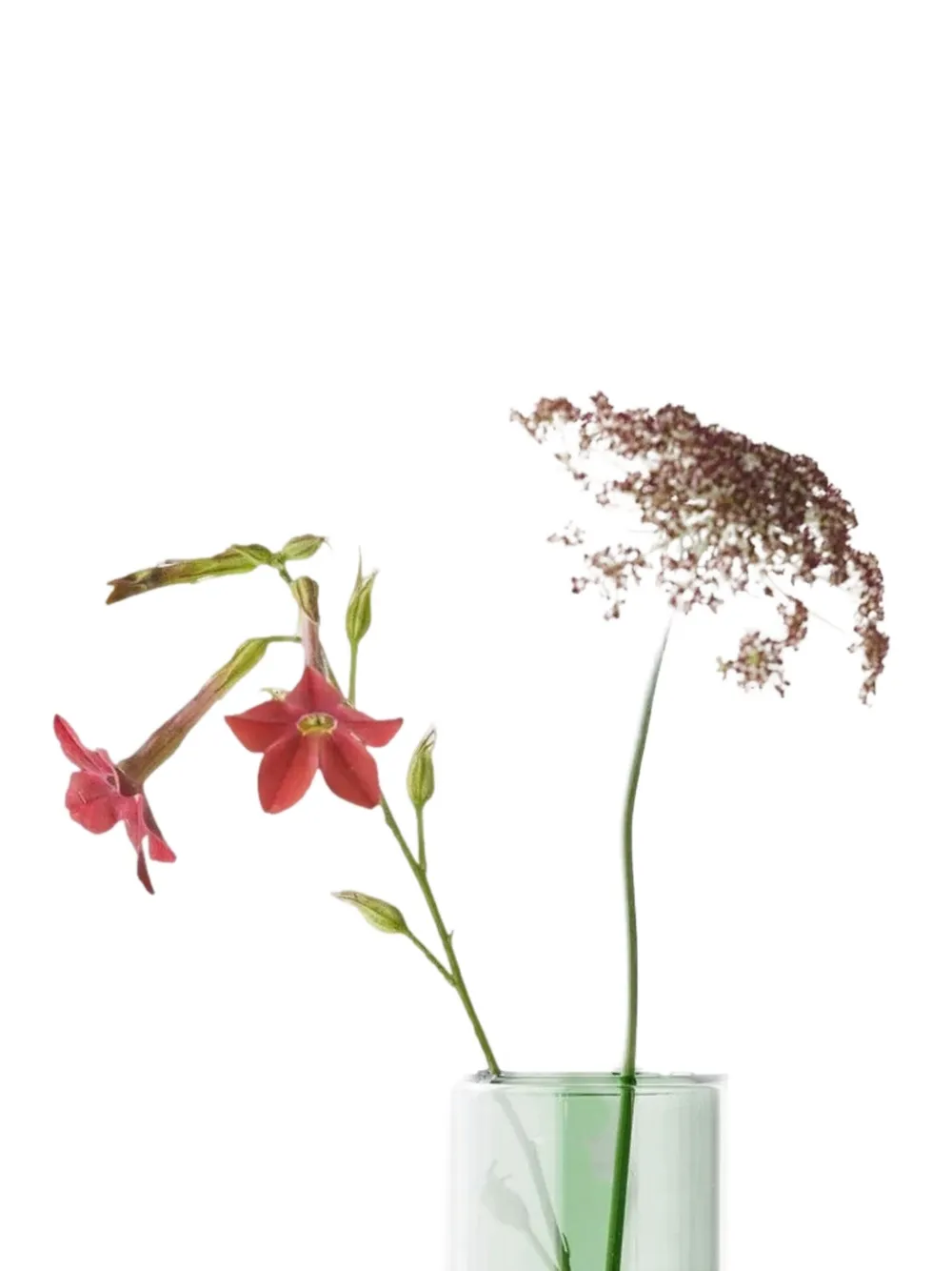 Studio About glass tube vase | Vases | Image 2
