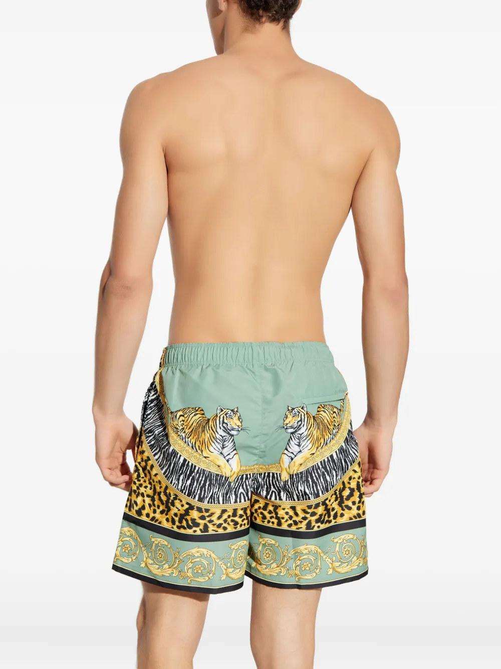 Versace Shorts met tijgerprint Groen