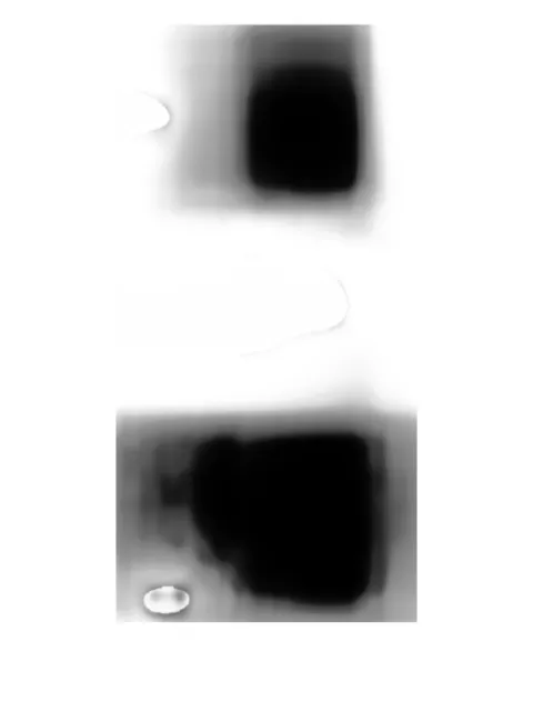 Stefano Ricci paisley patterned silk tie