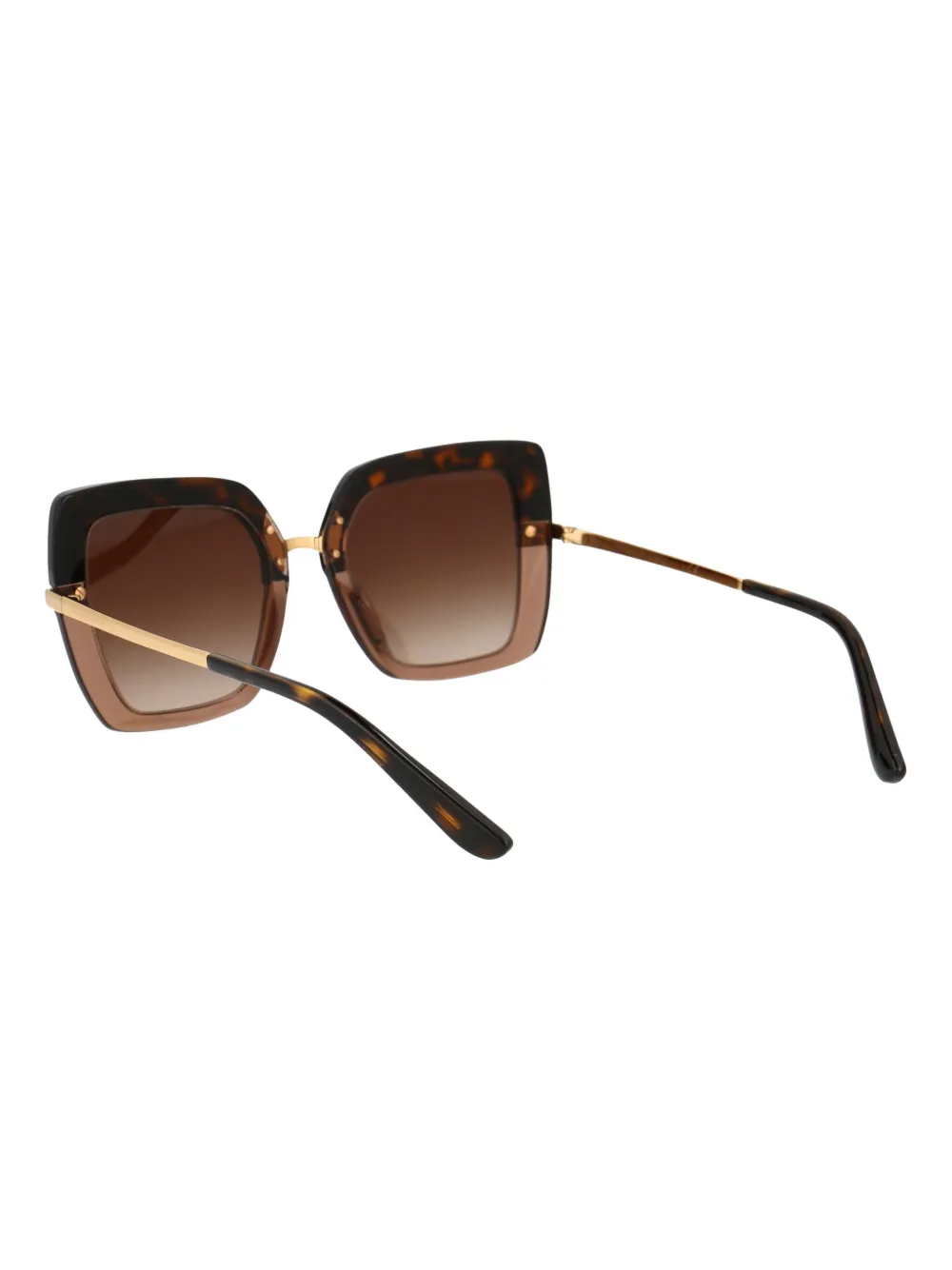 Dolce & Gabbana Havana On Transparent Brown Acetate Sunglasses In Brown