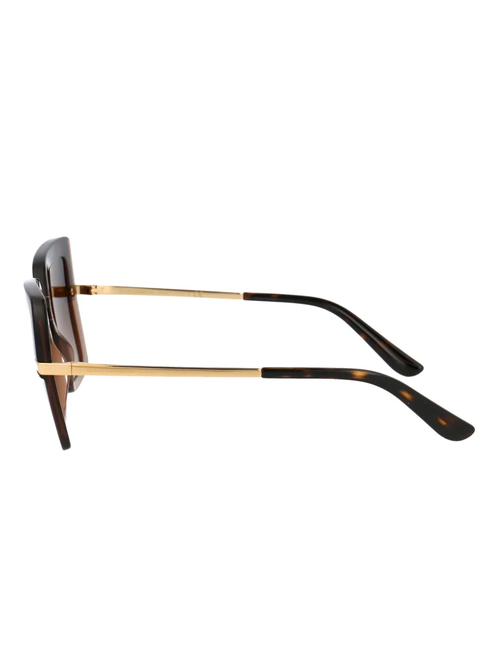 Dolce & Gabbana Havana On Transparent Brown Acetate Sunglasses In Brown