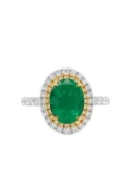 HYT Jewelry 18K white gold emerald and diamond ring - Silver