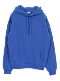 Celine Pre-Owned 2020 Food-logo hoodie - Blue