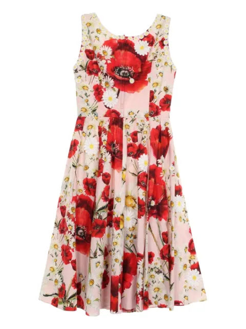 Dolce & Gabbana Pre-Owned 2010s floral-print dress