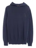 Louis Vuitton Pre-Owned 2000s knitted hoodie - Blue