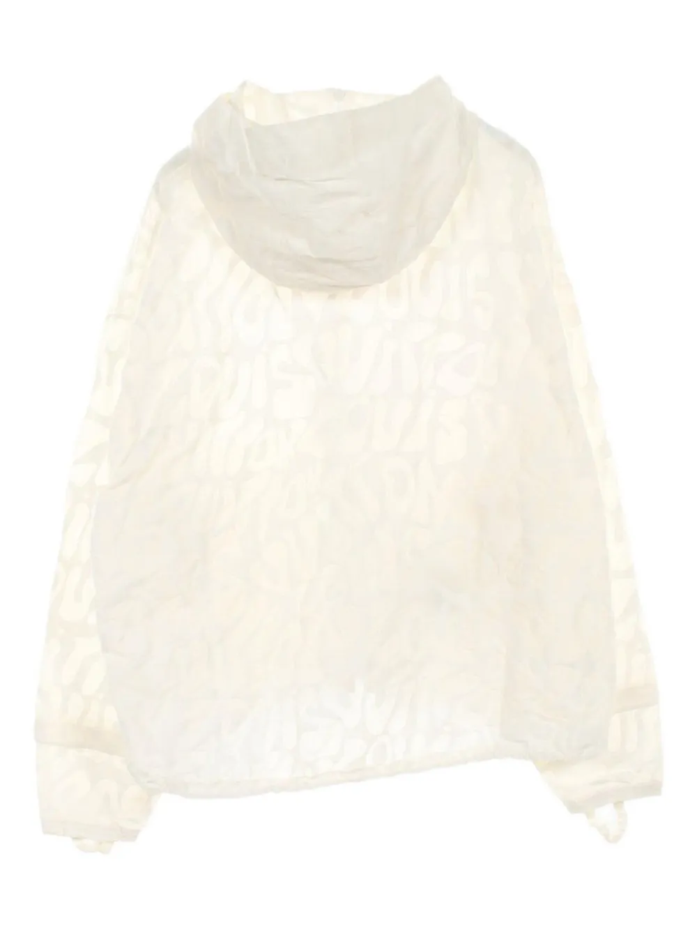 Pre-owned Louis Vuitton 2010s Monogram Pattern Hooded Jacket In Neutral