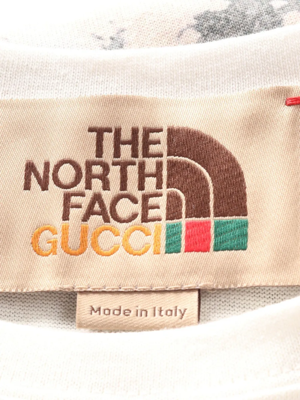 Pre-owned Gucci X The North Face 2010s Logo Forest-print T-shirt In Multi