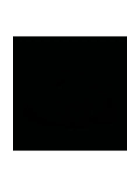 New Balance tenis 9060