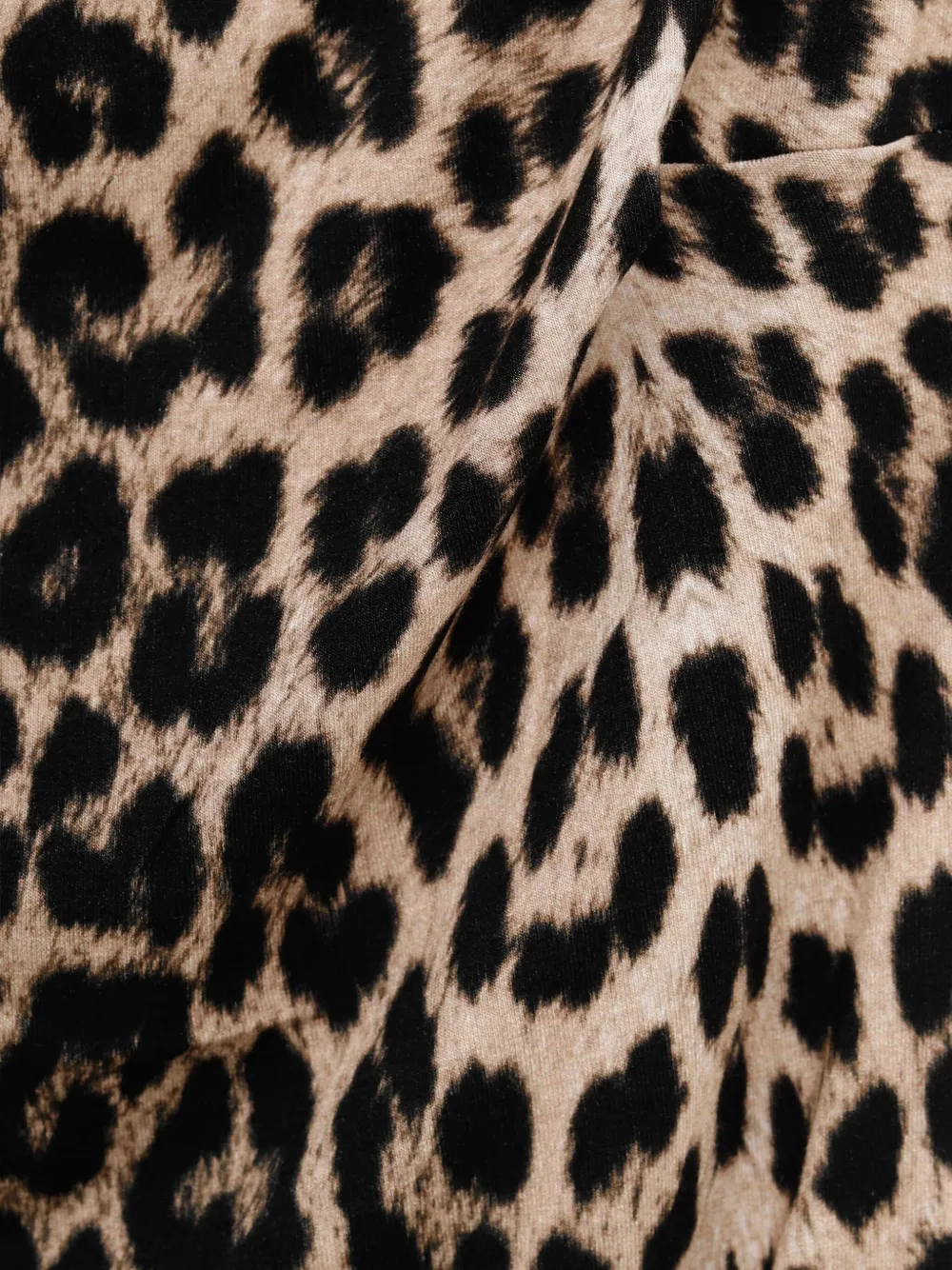 Baserange Leopard-print Bodysuit In Animal Print
