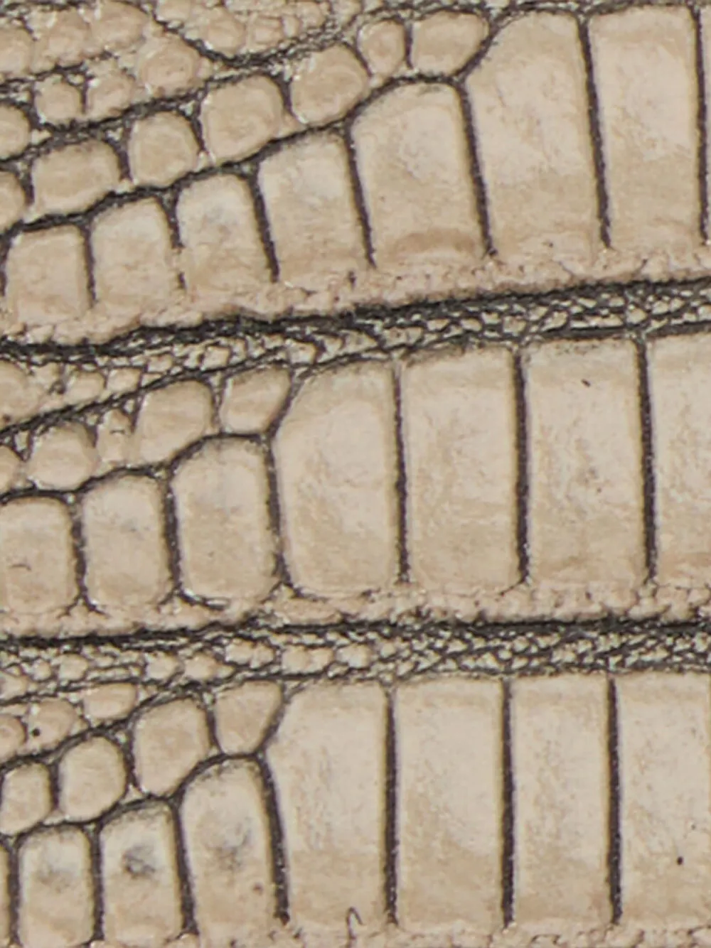 Roberto Cavalli Ivory Belt With Cobra Print And Snake Buckle In Neutral
