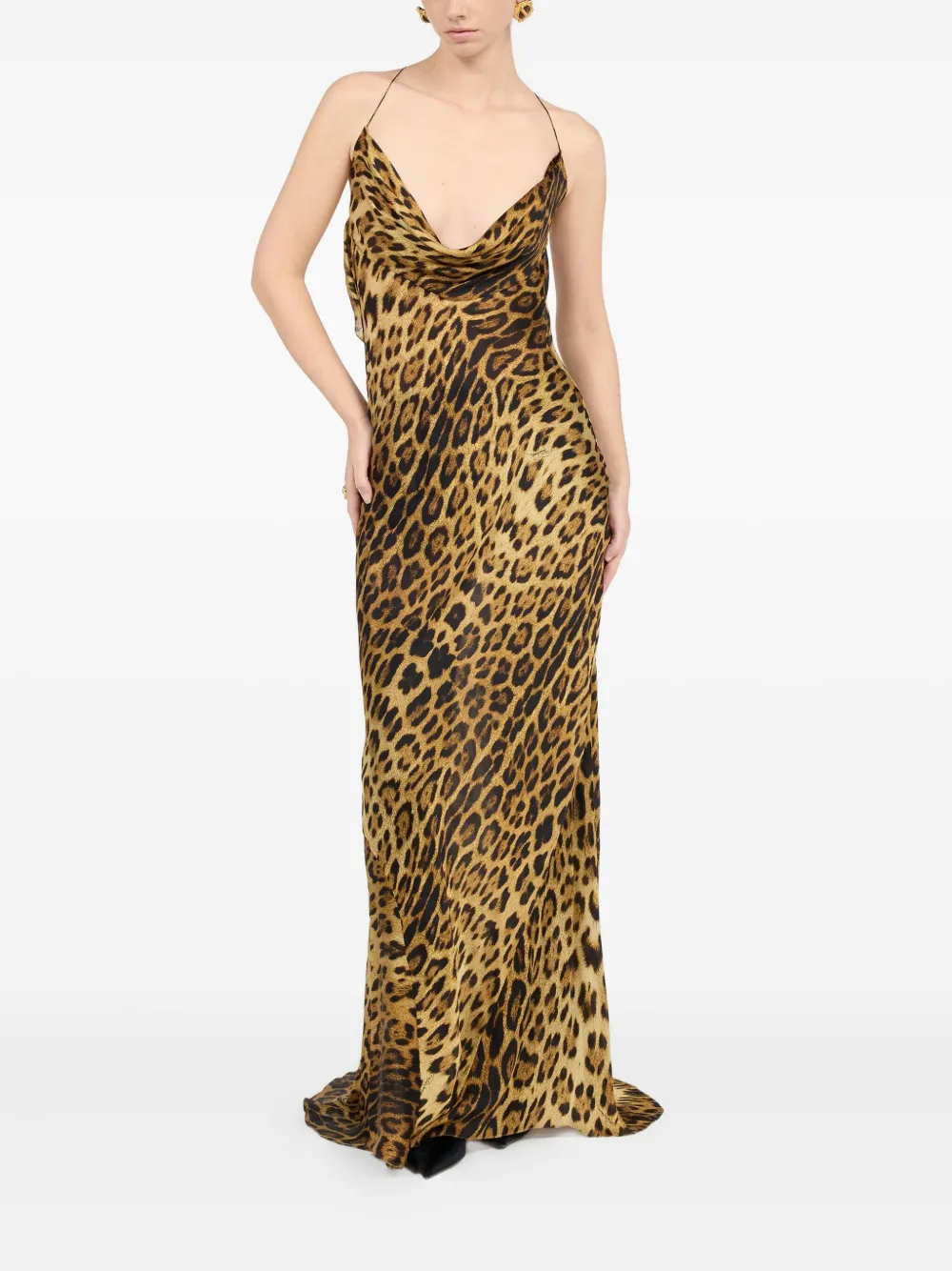 Roberto Cavalli Maxi-jurk met luipaardprint en col - Bruin