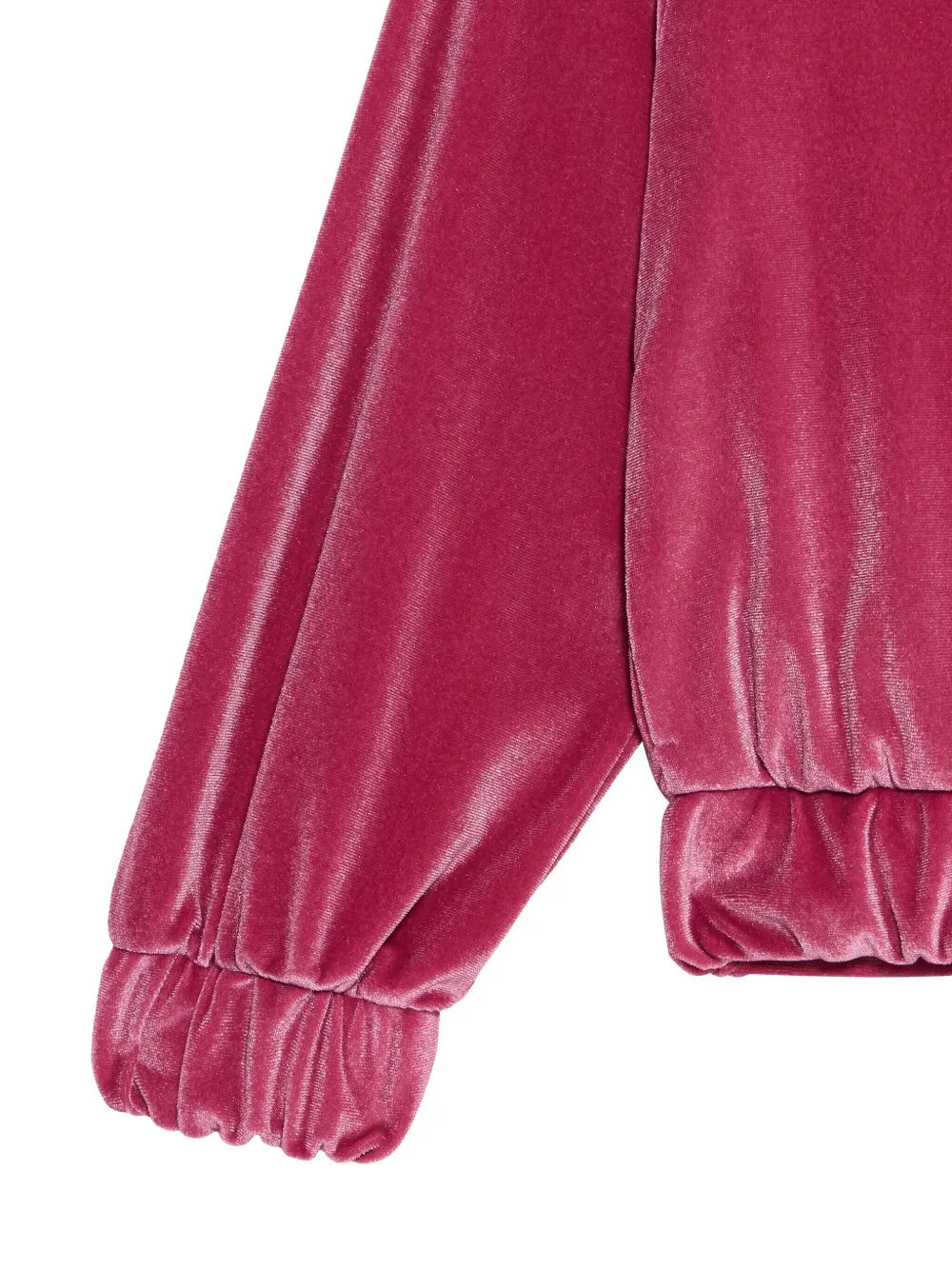 Roberto Cavalli Fluwelen sweater met luipaardprint en capuchon Roze