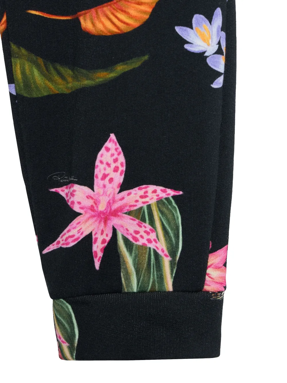 Roberto Cavalli Jersey broek met tropische print Zwart
