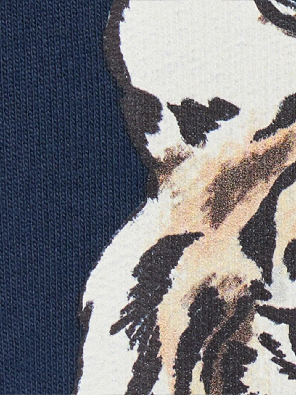 Roberto Cavalli Junior Sweater met tijgerprint Blauw