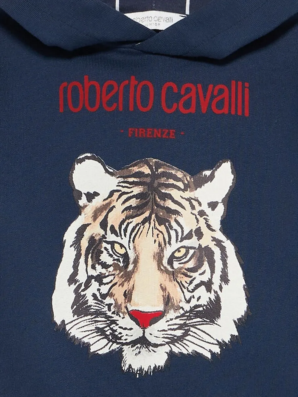 Roberto Cavalli Junior Sweater met tijgerprint Blauw