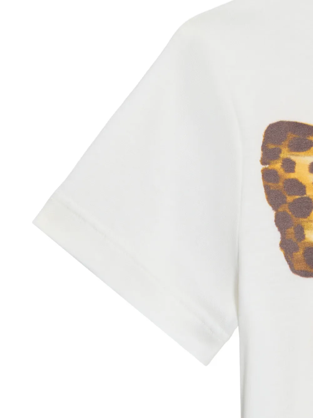 Roberto Cavalli Junior T-shirt met vlinderprint Wit