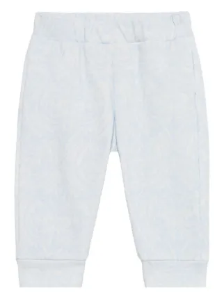 Roberto Cavalli Junior