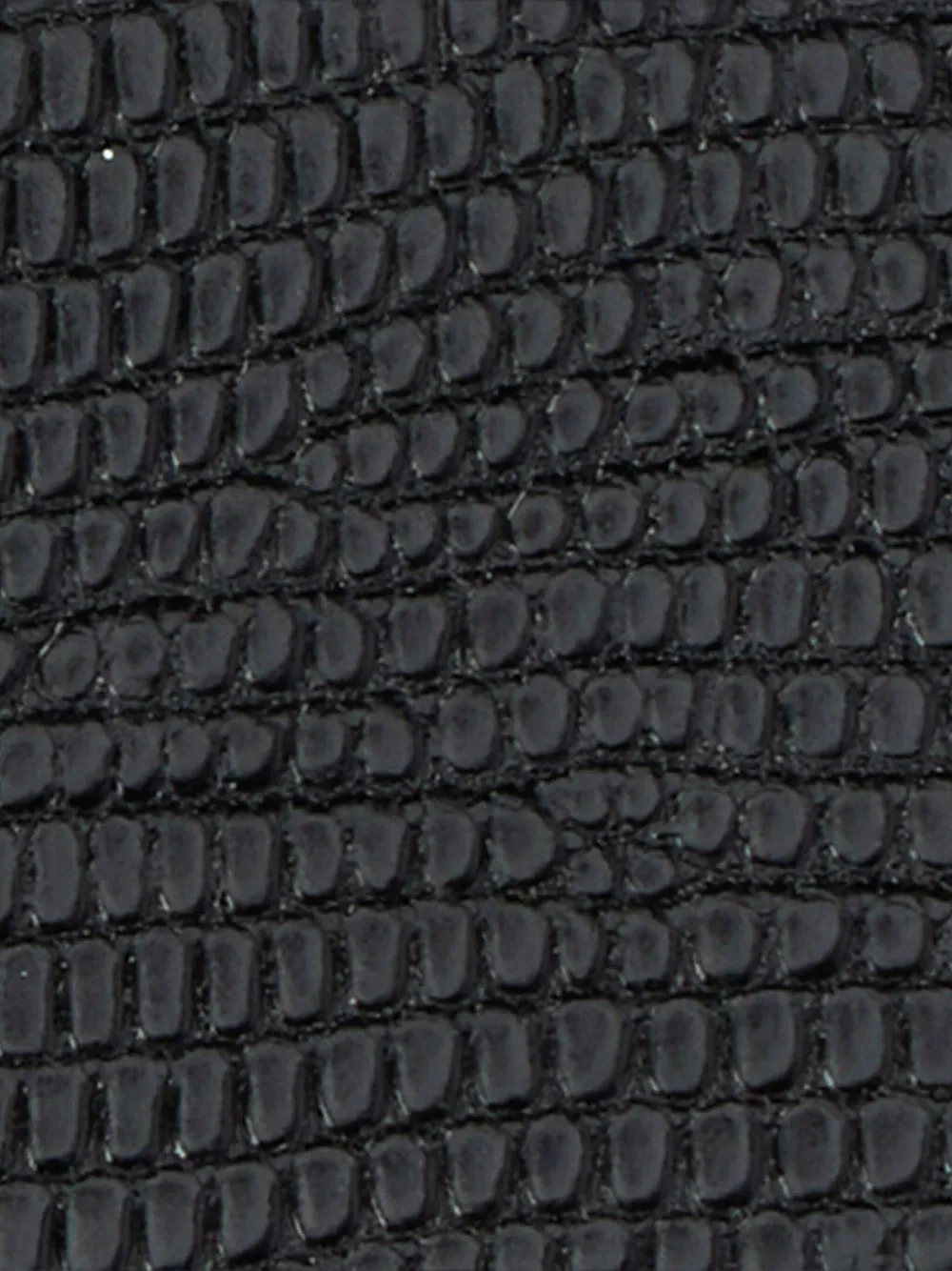 Roberto Cavalli Black Belt With Cobra Print And Snake Buckle In Black