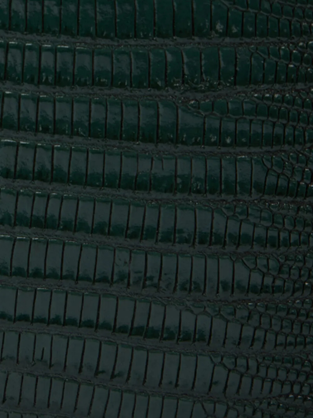 Roberto Cavalli Snake-embellished Tote Bag In Metallic