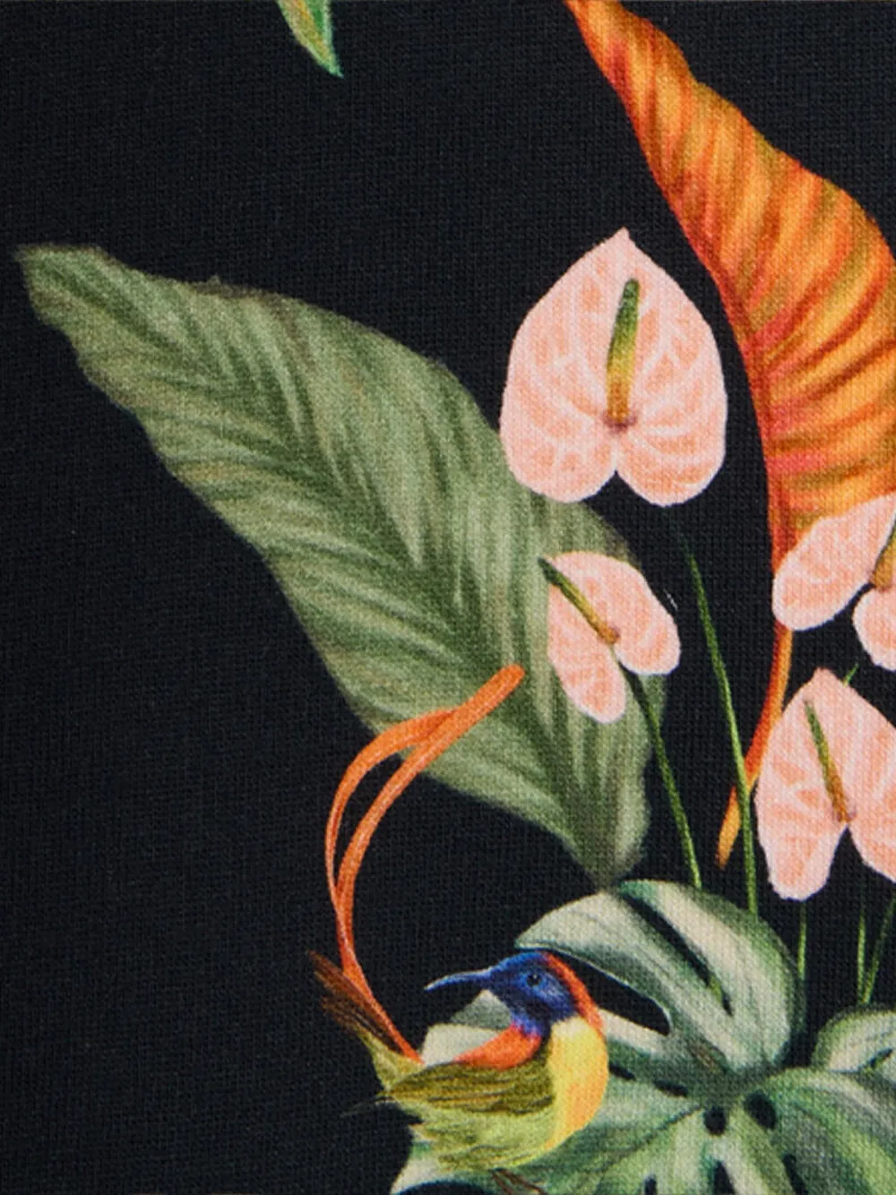 Roberto Cavalli Hoodie met print en rits Zwart