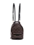 Louis Vuitton Pre-Owned 2021-2025 Monogram Mini Palm Springs backpack - Black