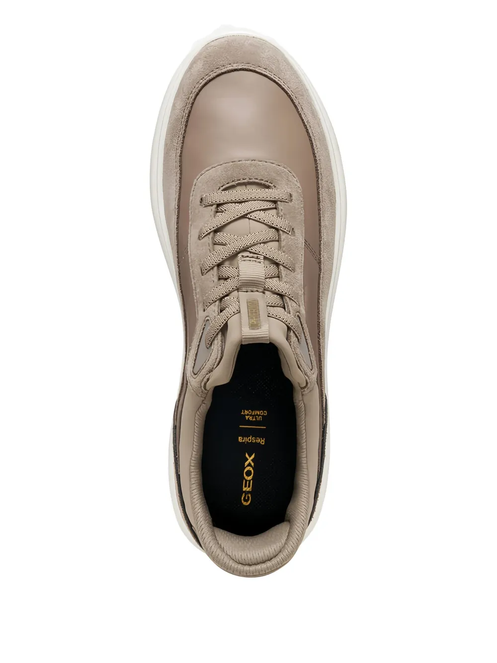 Geox Spherica Plus Low-top Sneakers In Neutral
