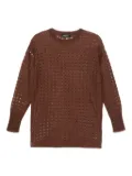 Fabiana Filippi open-knit sweater - Brown