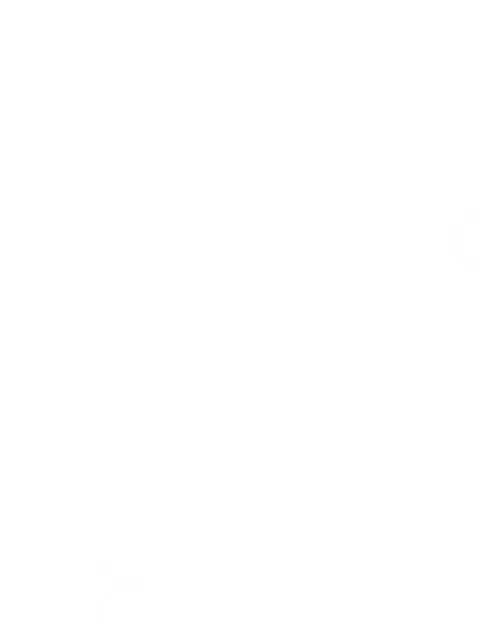 Supreme leather "FW 23 - Red" belt bag