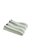 HAY Duo throw - Green