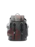 Louis Vuitton Pre-Owned 2016 Christopher PM backpack - Black