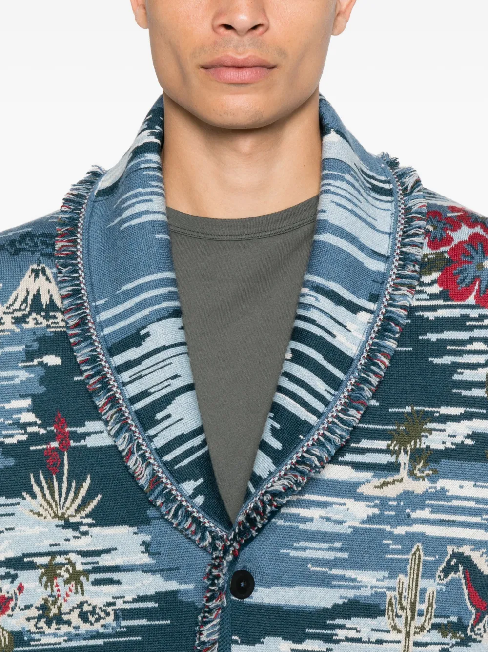 Alanui Vest met franje en patroon Blauw