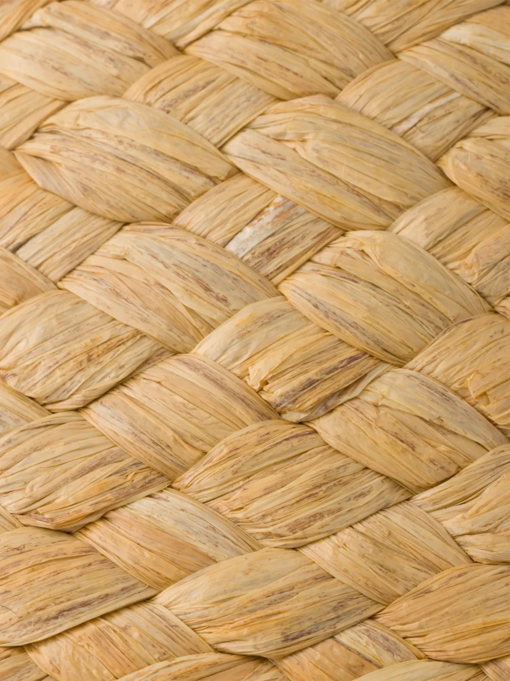 Prada Geweven sandalen met logo Beige