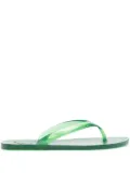 Ancient Greek Sandals Jelly flip flops - Green