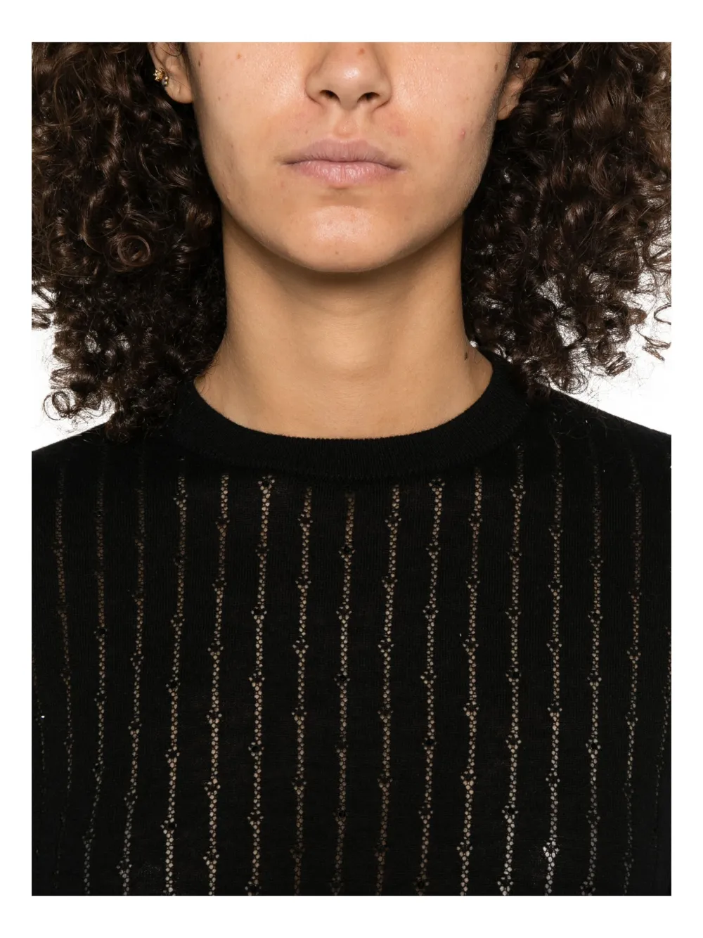 Max Mara Crewneck Metallic Thread Knitwear Sheer Short Sleeves In Black
