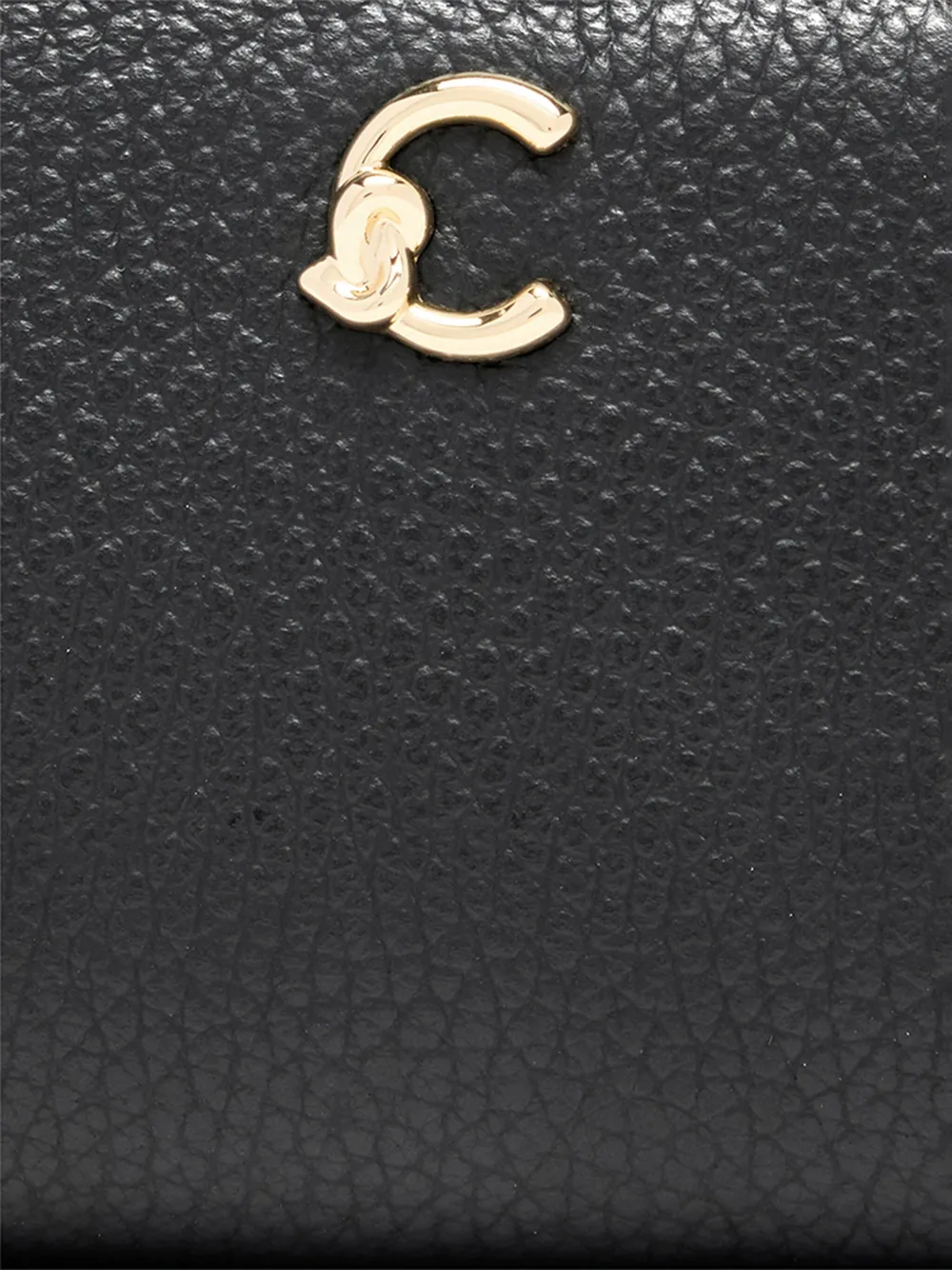 Coccinelle E2 SSL 11 D1 21 001 NOIR Zwart