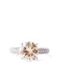 Izabel Display Mega Circle pavé ring - Neutrals