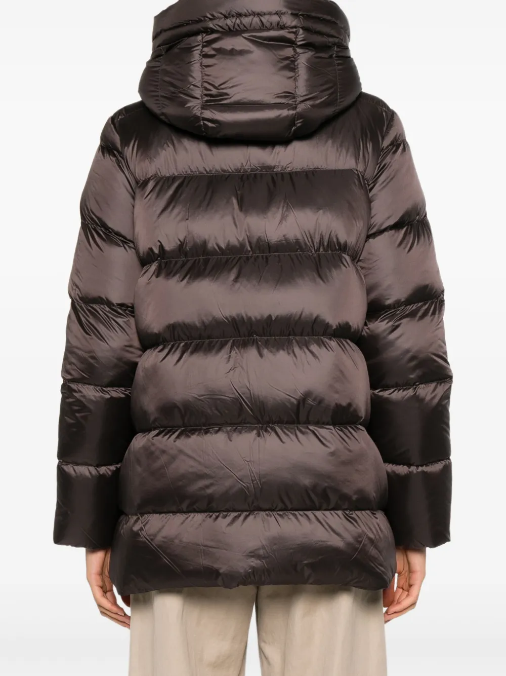 Marella Ecuador jack met capuchon en rits Bruin