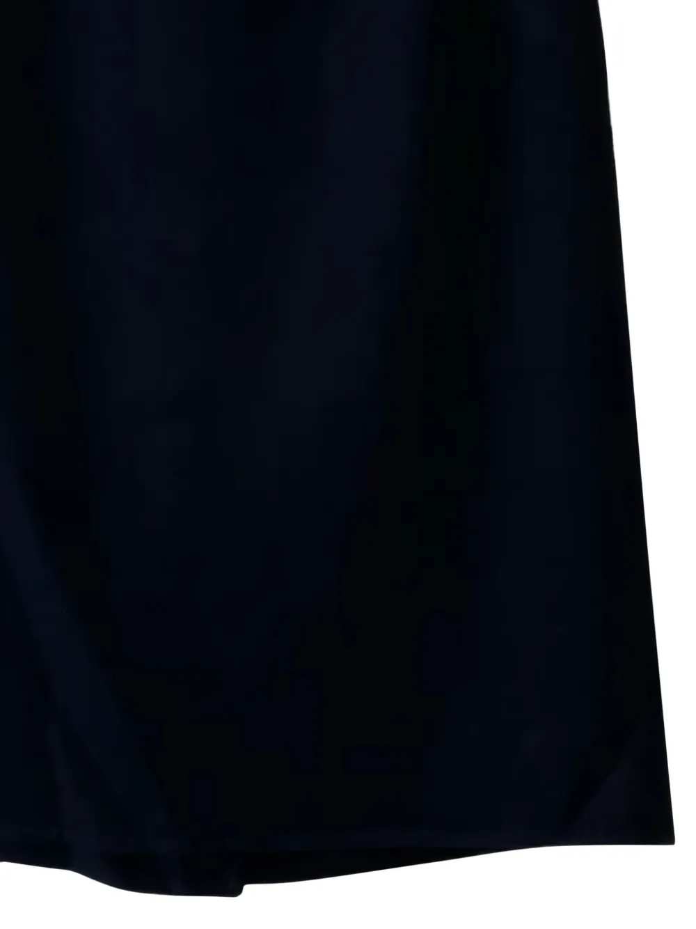 Loro Piana Vivian pencil skirt - Blauw
