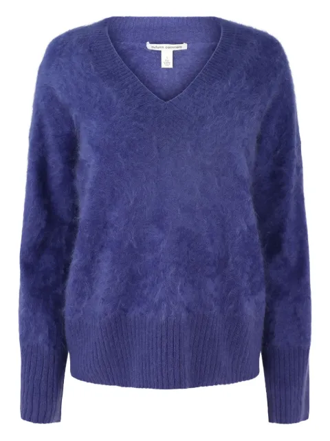 Autumn Cashmere brushed V-neck sweater 