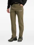 adidas Xperior Terrex trousers - Green