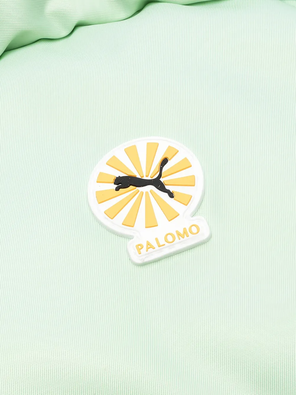 Puma X Palomo Logo-patch Backpack In Green