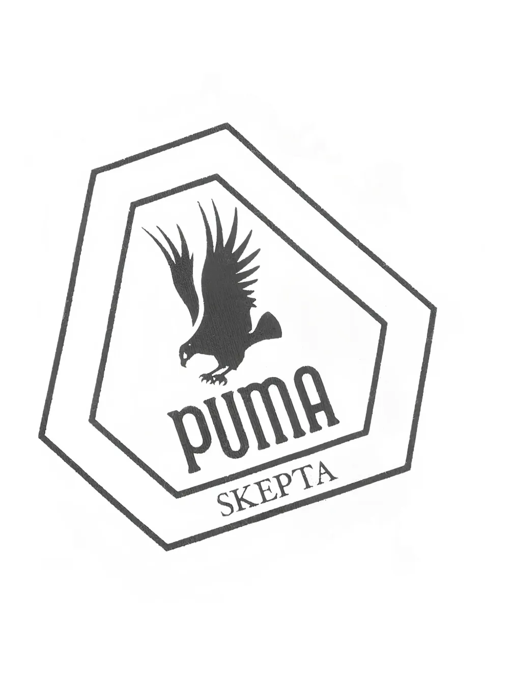 PUMA x SKEPTA T-shirt met adelaarsprint Wit