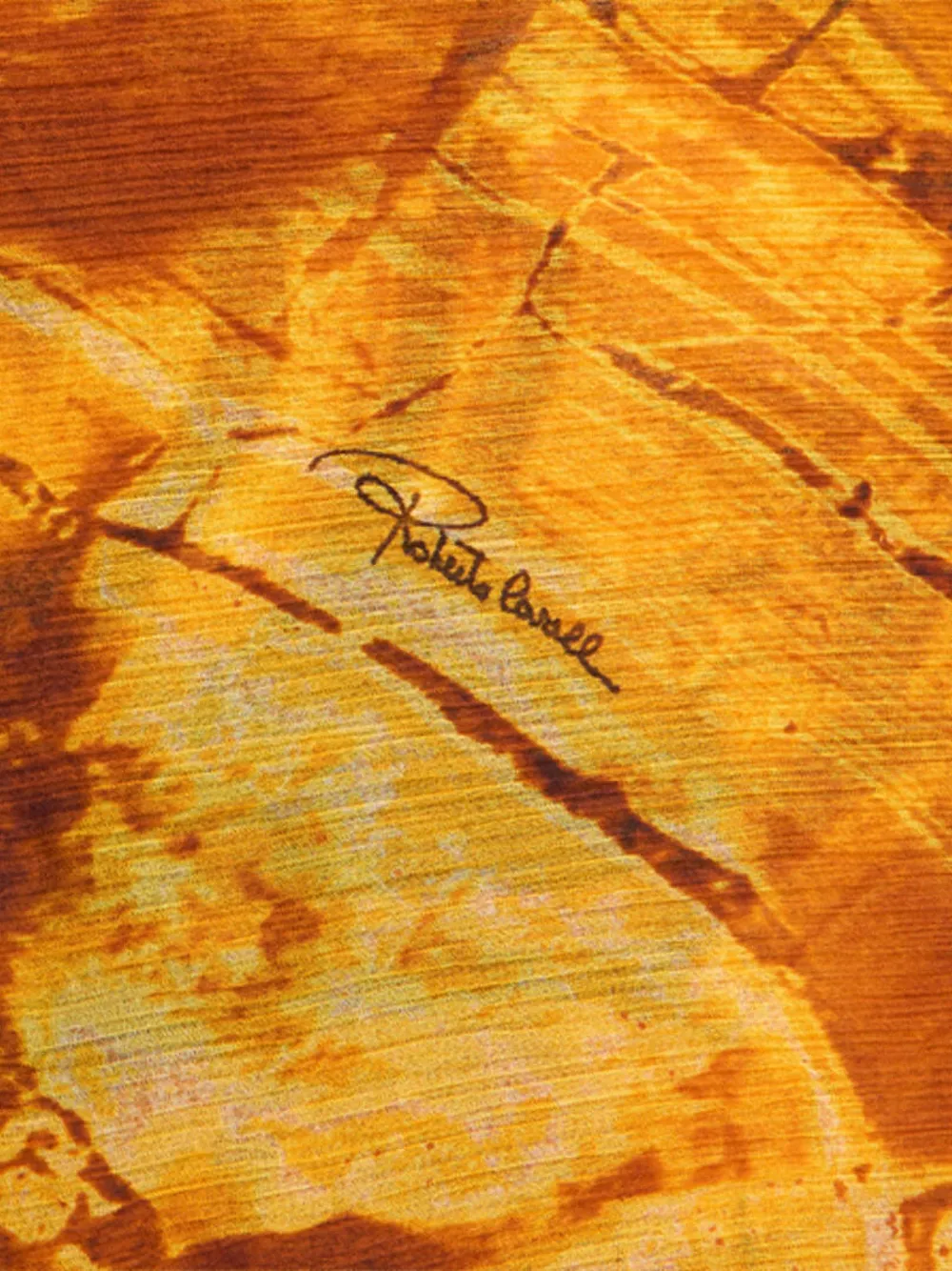 Roberto Cavalli abstract-print scarf | Image 2