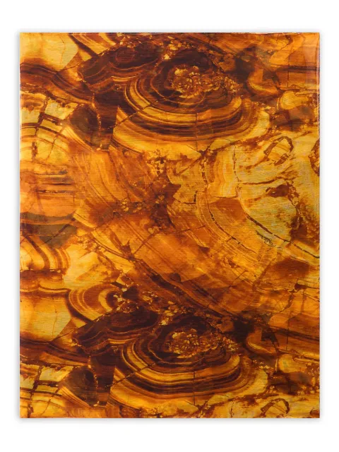 Roberto Cavalli mascada con estampado abstracto