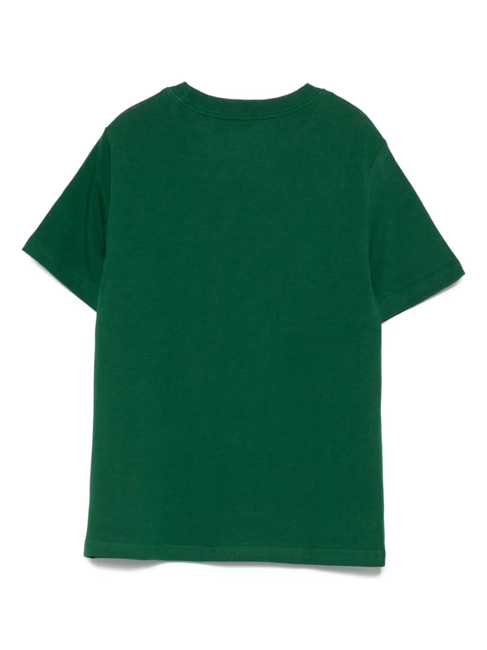 POLO RALPH LAUREN KIDS T-shirt met borduurwerk Groen