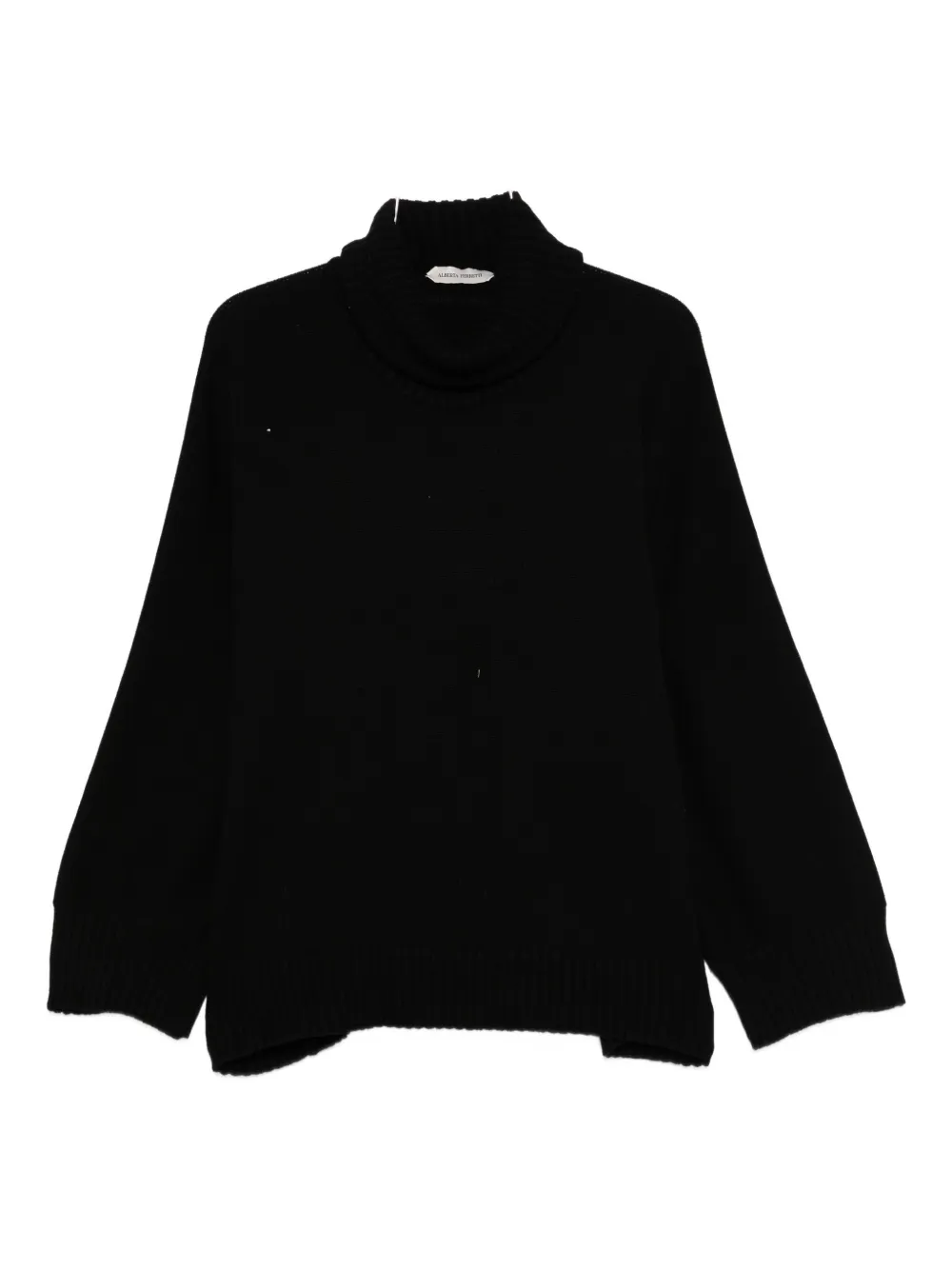 Alberta Ferretti Turtleneck Sweater In Black