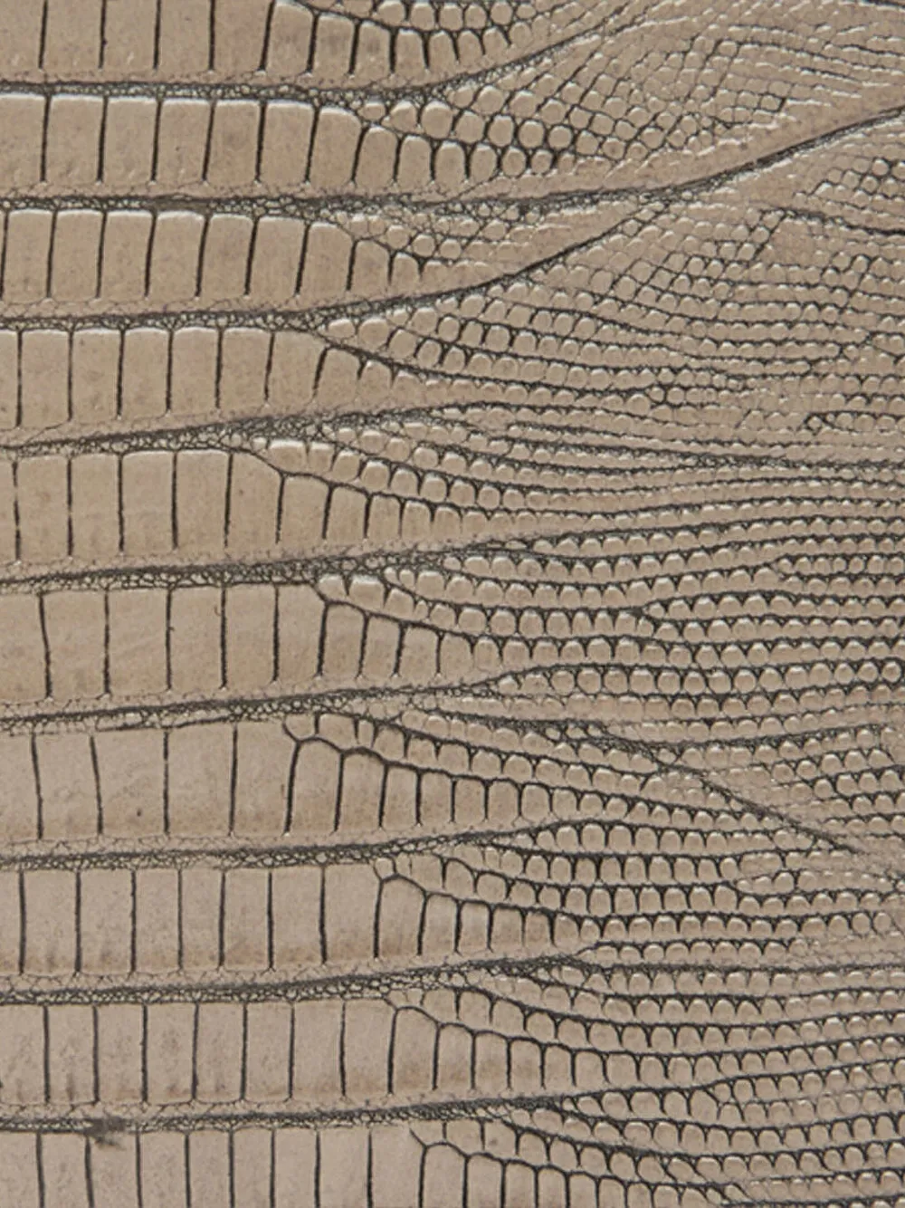 Roberto Cavalli Snake-embellished Snake-skin Shoulder Bag In Neutral
