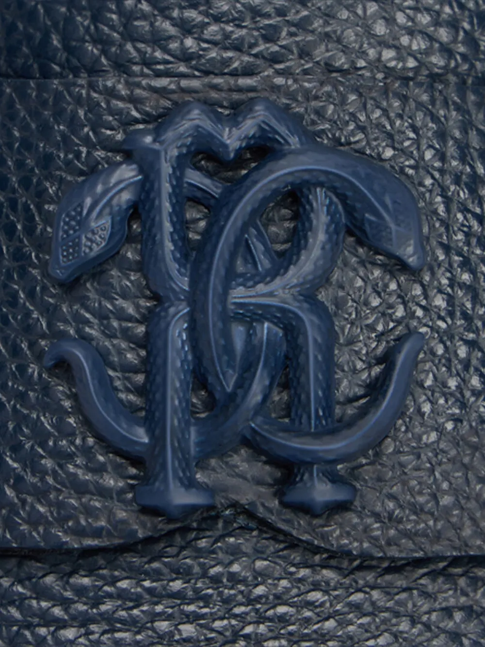 Roberto Cavalli Leren loafers Blauw