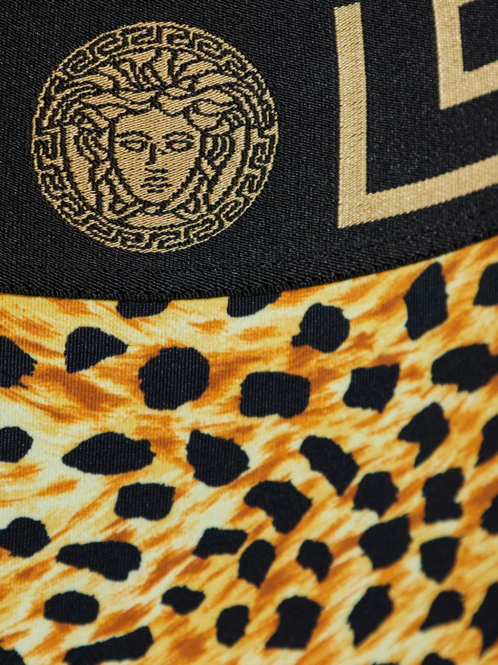 Versace greek-key leopard-print bikini bottom Bruin